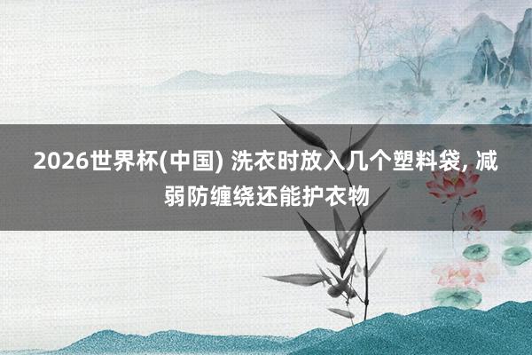 2026世界杯(中國) 洗衣時放入幾個塑料袋， 減弱防纏繞還能護衣物
