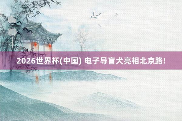 2026世界杯(中國) 電子導盲犬亮相北京路!