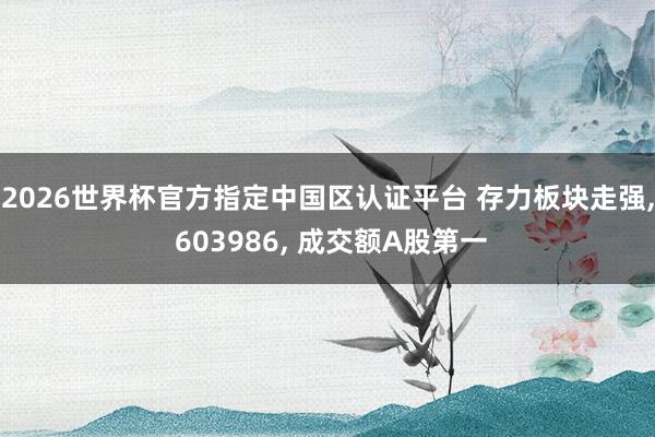 2026世界杯官方指定中國區(qū)認(rèn)證平臺 存力板塊走強(qiáng), 603986, 成交額A股第一