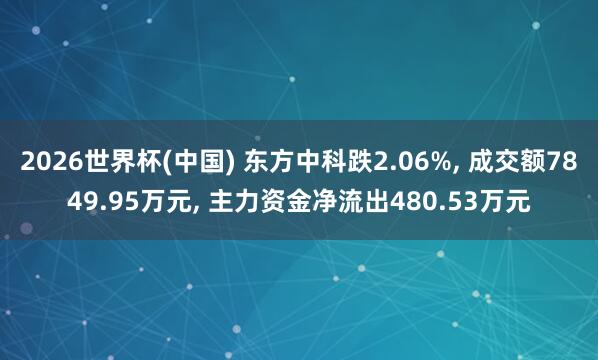 2026世界杯(中國(guó)) 東方中科跌2.06%， 成交額7849.95萬(wàn)元， 主力資金凈流出480.53萬(wàn)元