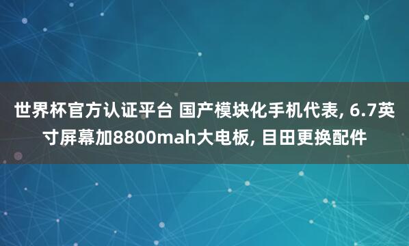 世界杯官方認證平臺 國產模塊化手機代表， 6.7英寸屏幕加8800mah大電板， 目田更換配件