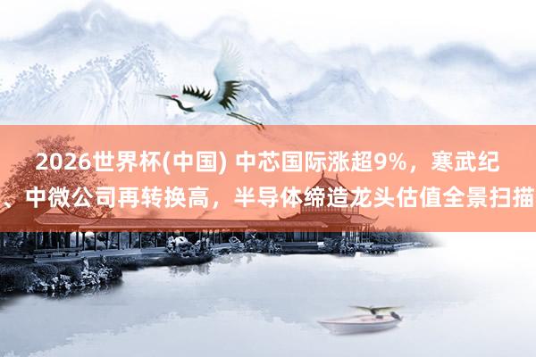 2026世界杯(中國) 中芯國際漲超9%,寒武紀、中微公司再轉換高,半導體締造龍頭估值全景掃描