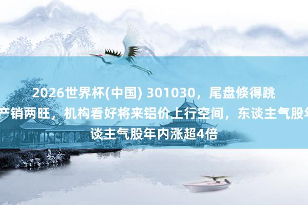 2026世界杯(中國) 301030，尾盤倏得跳水！鋁加工產(chǎn)銷兩旺，機(jī)構(gòu)看好將來鋁價(jià)上行空間，東談主氣股年內(nèi)漲超4倍