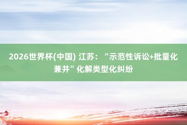 2026世界杯(中國) 江蘇：“示范性訴訟﹢批量化兼并”化解類型化糾紛