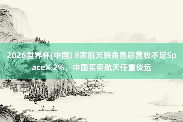 2026世界杯(中國) 8家航天獨角獸總營收不足SpaceX 2%，中國買賣航天任重談遠