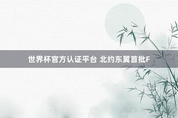 世界杯官方認(rèn)證平臺(tái) 北約東翼首批F