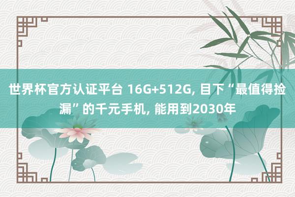 世界杯官方認證平臺 16G+512G， 目下“最值得撿漏”的千元手機， 能用到2030年
