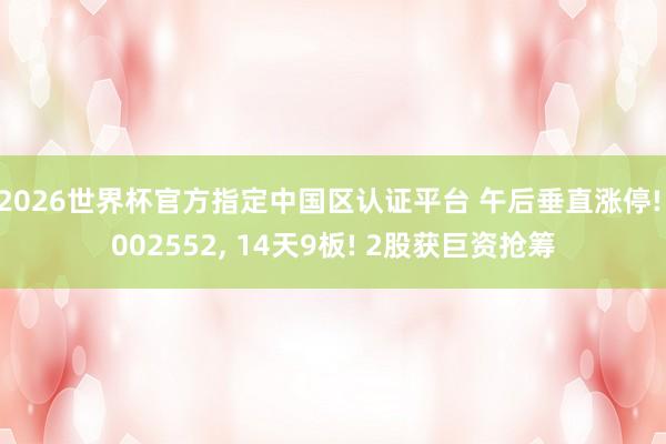 2026世界杯官方指定中國區認證平臺 午后垂直漲停! 002552， 14天9板! 2股獲巨資搶籌