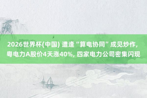 2026世界杯(中國) 遭逢“算電協(xié)同”成見炒作， 粵電力A股價4天漲40%， 四家電力公司密集閃現(xiàn)