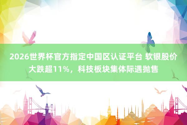 2026世界杯官方指定中國區認證平臺 軟銀股價大跌超11%，科技板塊集體際遇拋售
